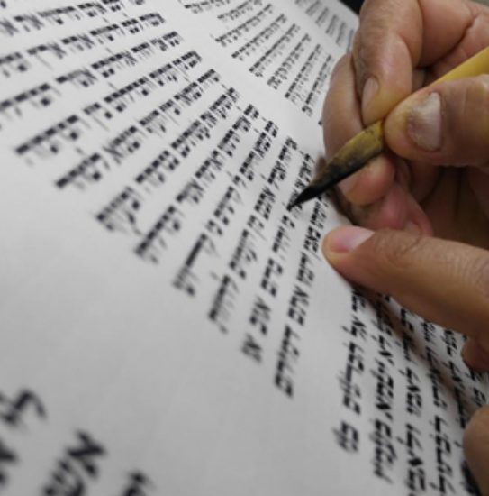 תמונה מתוך טקס הכנסת ספר תורה